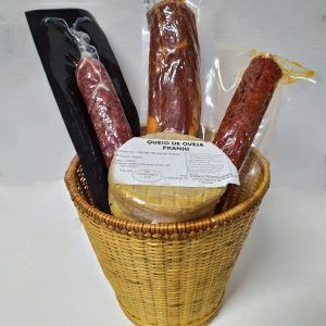 CESTA 21