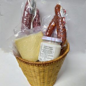 CESTA 20