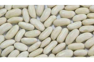 Alubia Blanca Larga